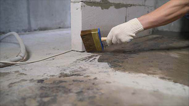 Top rated local Basement Waterproofing specialists in Key Center, WA